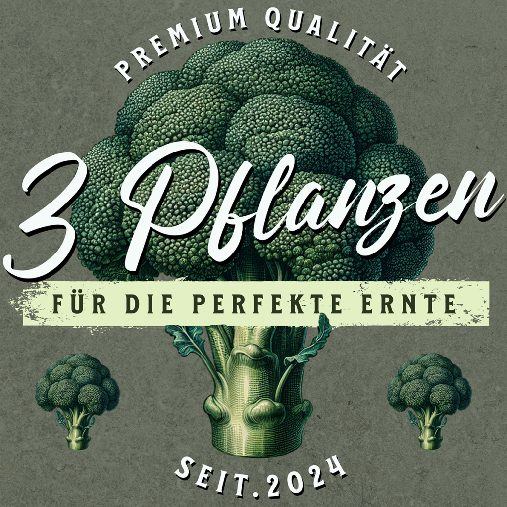3-Pflanzen Growshop Mary Jane Brokkoli Logo Bremen kaufen
