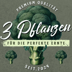 3-Pflanzen Growshop Mary Jane Brokkoli Logo Bremen kaufen